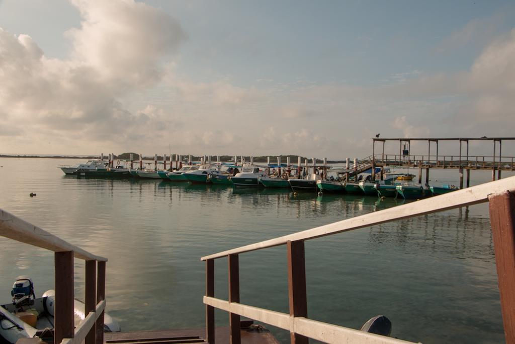 Chez Manany Galapagos Ecolodge Puerto Villamil Esterno foto