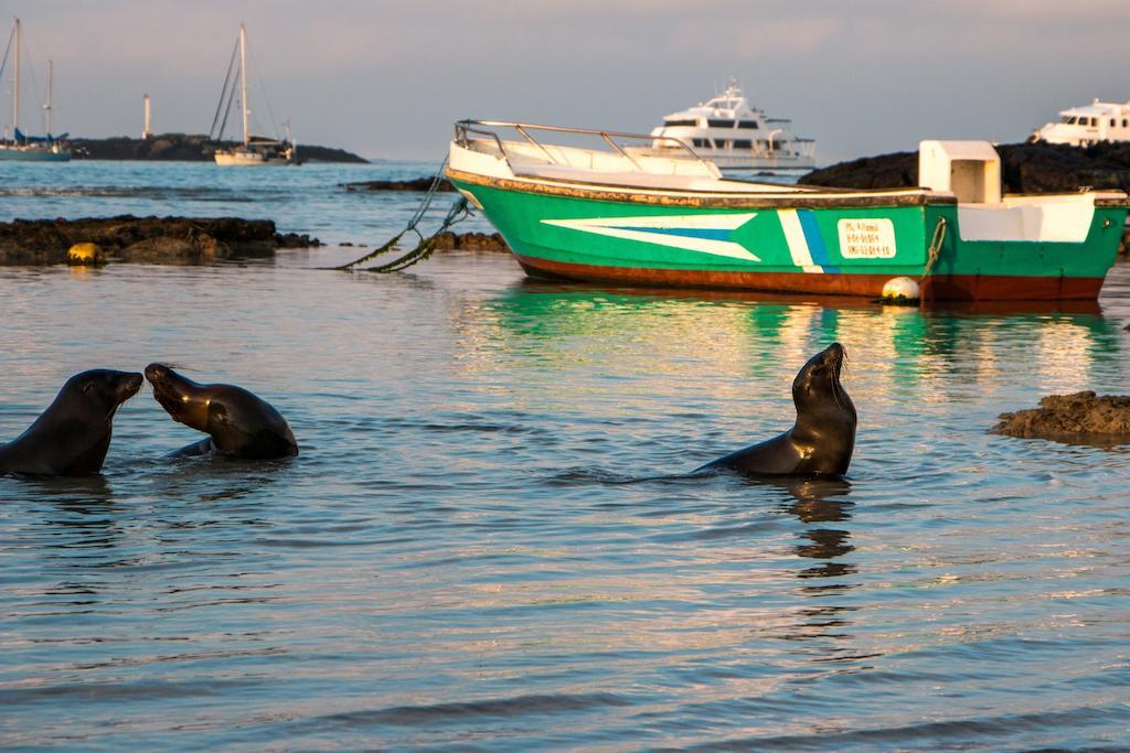 Chez Manany Galapagos Ecolodge Puerto Villamil Esterno foto