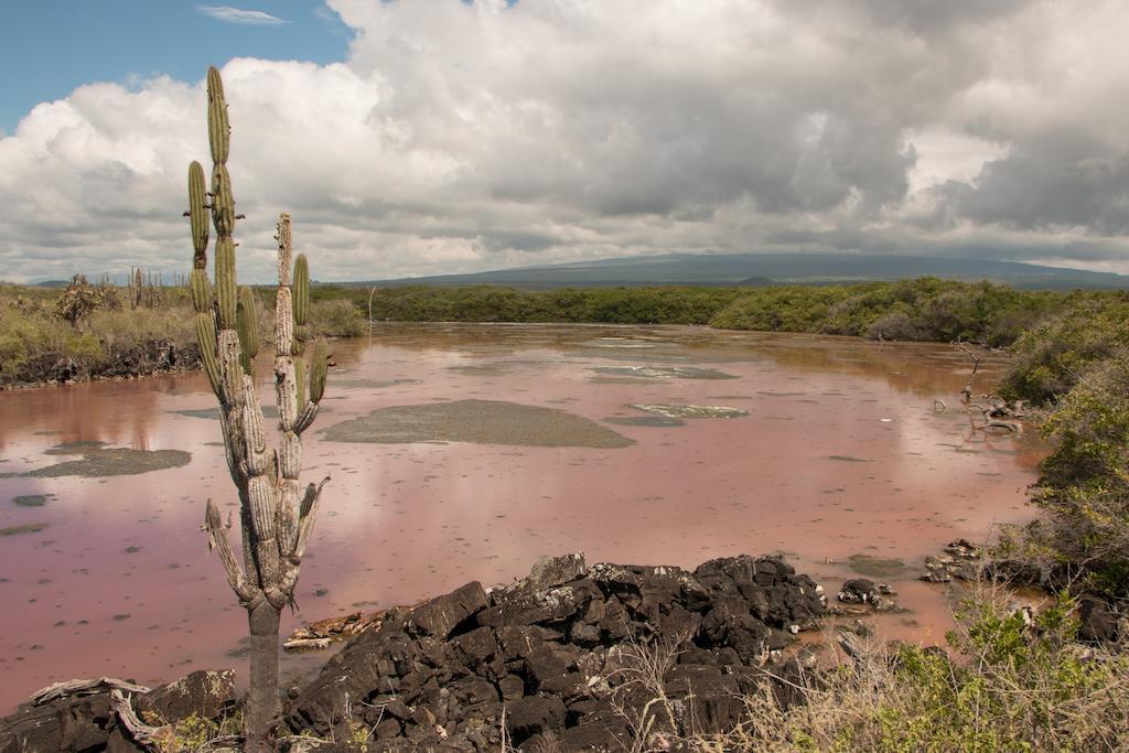 Chez Manany Galapagos Ecolodge Puerto Villamil Esterno foto