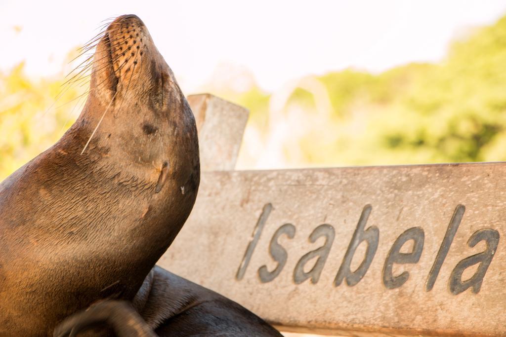 Chez Manany Galapagos Ecolodge Puerto Villamil Esterno foto